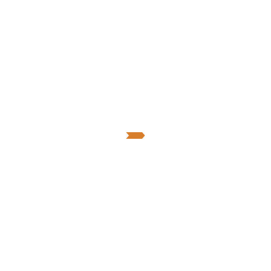 Techni-Pro 706SO1423 Inspektionspfeile, Vinyl, 3/16"x1/4", 6.4 mil, Orange, 1000/Umschlag